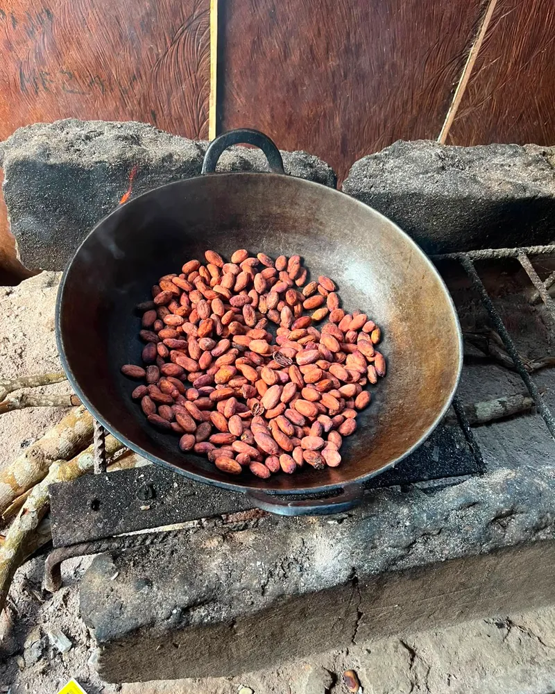 Cacao 6